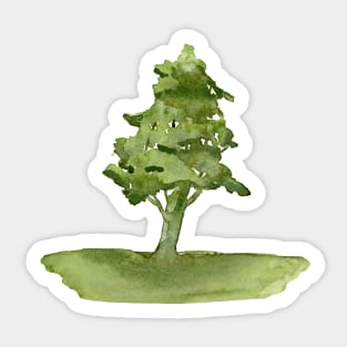 Pine tree. Watercolor Tree. Watercolor Pine, pine tree art Sticker